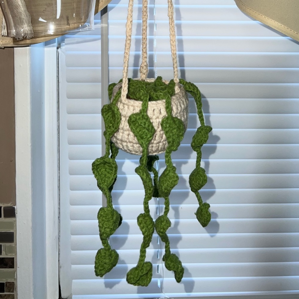 🍃 ADORABLE little crochet hanging plant basket